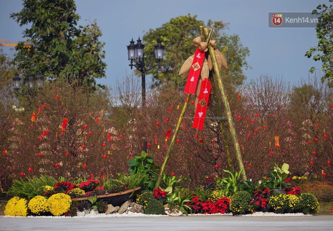 Vườn đào xuân 1000 gốc khoe sắc trong khuôn viên đại học VinUni vừa khánh thành - Ảnh 4.