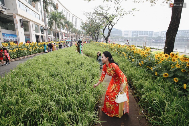 Phố nhà giàu Phú Mỹ Hưng đón Tết Canh Tý với đường hoa xuân đầy lúa và bắp ngô, tái hiện khung cảnh làng quê bình dị - Ảnh 4.