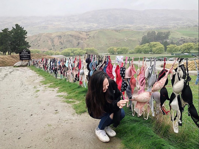 “Hàng rào áo ngực” độc nhất thế giới vô tình trở thành điểm check-in hút khách tại New Zealand, tìm hiểu nguồn gốc hình thành ai cũng ngạc nhiên - Ảnh 8.