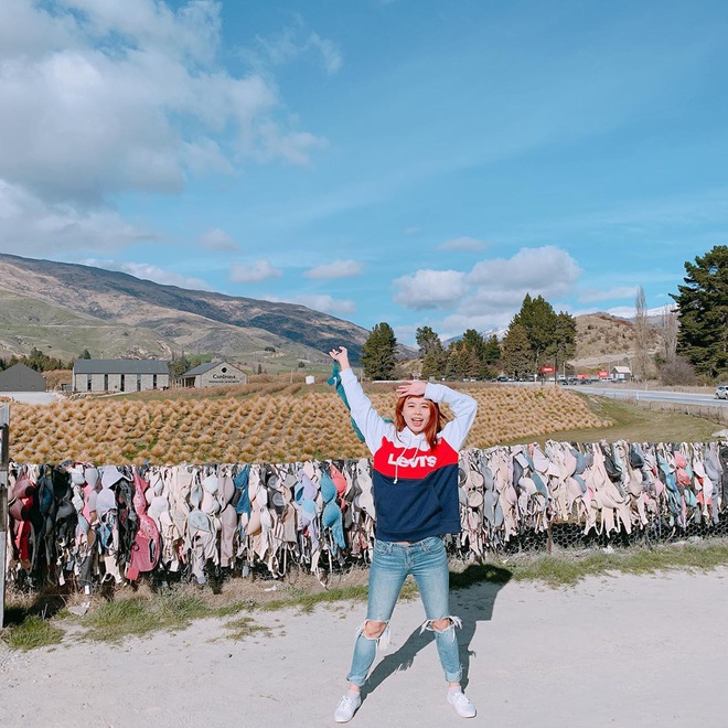 “Hàng rào áo ngực” độc nhất thế giới vô tình trở thành điểm check-in hút khách tại New Zealand, tìm hiểu nguồn gốc hình thành ai cũng ngạc nhiên - Ảnh 2.