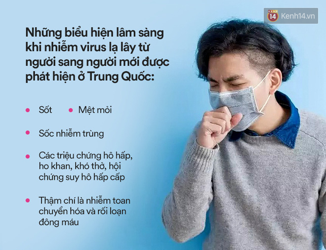 Tất cả thông tin cần biết về Coronavirus - virus lạ được Trung Quốc xác nhận lây từ người sang người, đã có 3 trường hợp tử vong - Ảnh 3.