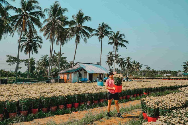 Đứng hình với loạt ảnh làng hoa Tết đẹp nhất miền Tây rực rỡ sắc màu từ trên cao, hoá ra lại nằm gần xịt Sài Gòn - Ảnh 9.