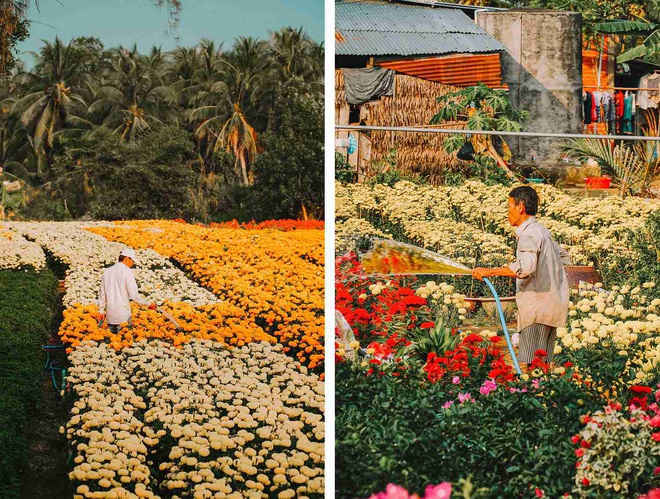 Đứng hình với loạt ảnh làng hoa Tết đẹp nhất miền Tây rực rỡ sắc màu từ trên cao, hoá ra lại nằm gần xịt Sài Gòn - Ảnh 6.