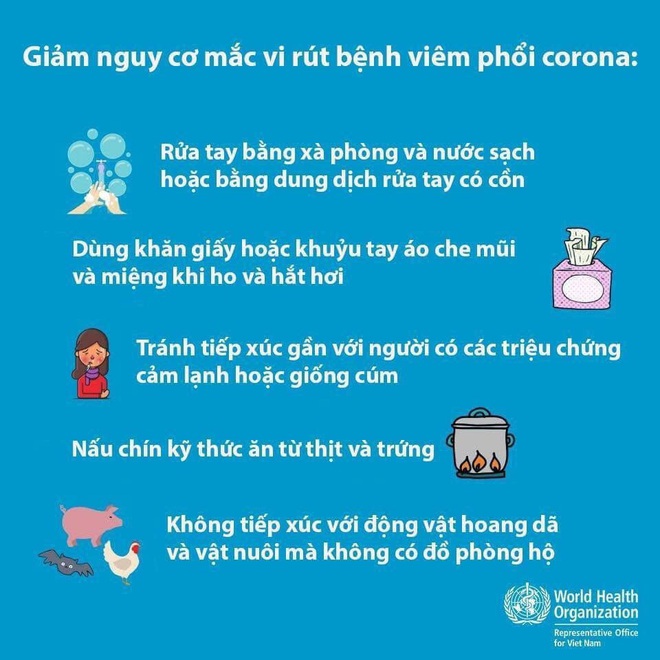 Rắn và dơi có khả năng chính là nguồn lây lan chủng virus corona gây viêm phổi ở Vũ Hán - Ảnh 6.