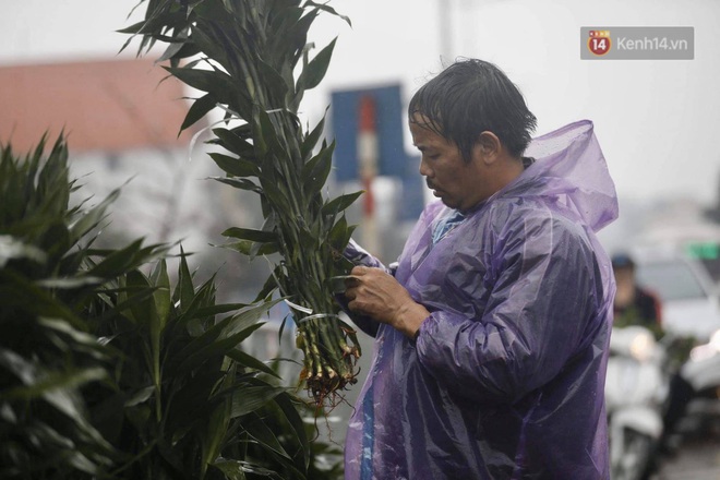 Chợ hoa Quảng An ngập trong rác, nhiều người vẫn tranh thủ đội mưa đi mua hoa Tết - Ảnh 11.