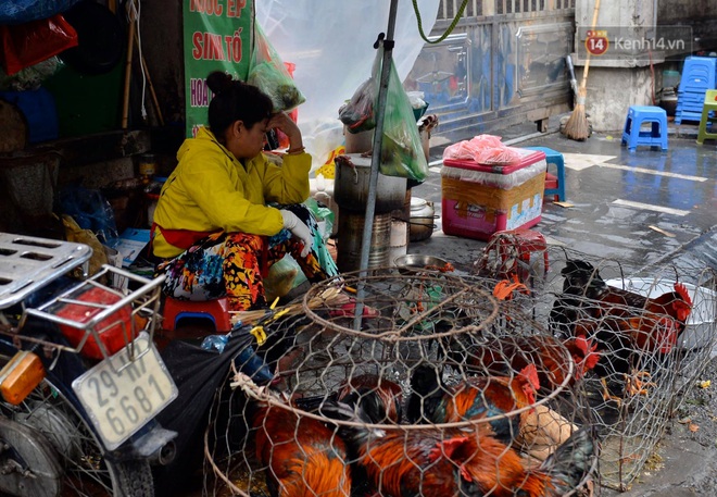 Dịch vụ bán và làm thuê gà cúng giao thừa ế ẩm, nhiều tiểu thương dọn hàng về sớm - Ảnh 5.