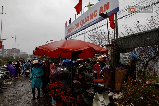 Chợ hoa Quảng An ngập trong rác, nhiều người vẫn tranh thủ đội mưa đi mua hoa Tết - Ảnh 6.