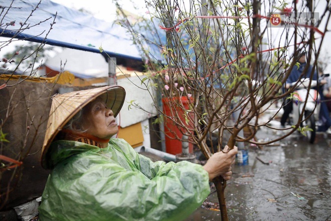 Chợ hoa Quảng An ngập trong rác, nhiều người vẫn tranh thủ đội mưa đi mua hoa Tết - Ảnh 5.
