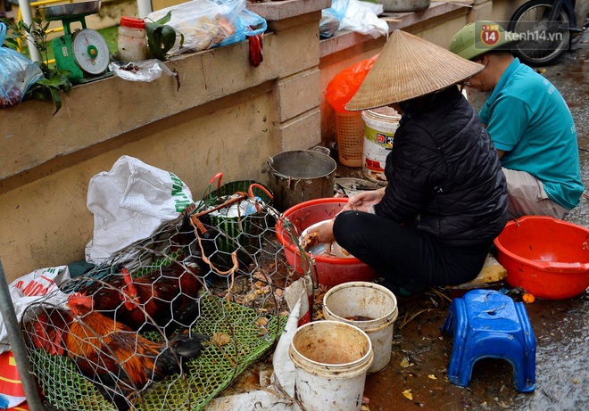 Dịch vụ bán và làm thuê gà cúng giao thừa ế ẩm, nhiều tiểu thương dọn hàng về sớm - Ảnh 1.