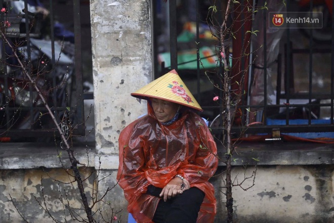 Chợ hoa Quảng An ngập trong rác, nhiều người vẫn tranh thủ đội mưa đi mua hoa Tết - Ảnh 13.