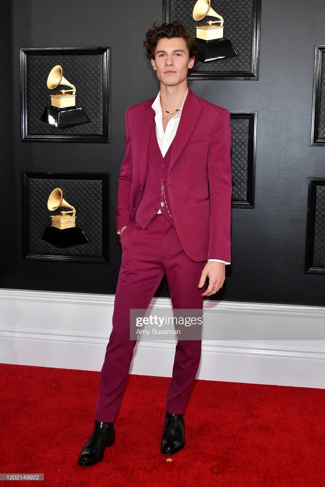 Siêu thảm đỏ Grammy 2020: Ariana Grande chặt chém với đầm cồng kềnh, BTS “gây nổ” bên vợ chồng Nick Jonas và Hoa hậu - Ảnh 14.