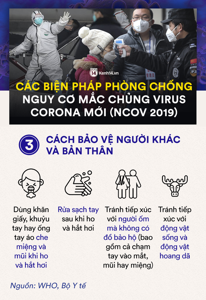 Dù đã có 3 người Việt dương tính với virus corona, nhưng nhiều người vẫn.... lạc quan kỳ lạ: Tới đâu tính tới đó thôi! - Ảnh 7.