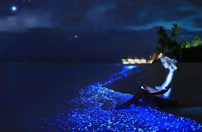 Dân mạng nửa tin nửa ngờ trước “bãi biển ngàn sao” đẹp như cổ tích ở Maldives, là có thật hay lại chiêu trò chỉnh ảnh câu like? - Ảnh 3.