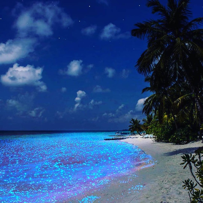 Dân mạng nửa tin nửa ngờ trước “bãi biển ngàn sao” đẹp như cổ tích ở Maldives, là có thật hay lại chiêu trò chỉnh ảnh câu like? - Ảnh 12.