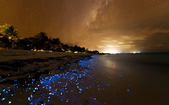 Dân mạng nửa tin nửa ngờ trước “bãi biển ngàn sao” đẹp như cổ tích ở Maldives, là có thật hay lại chiêu trò chỉnh ảnh câu like? - Ảnh 9.