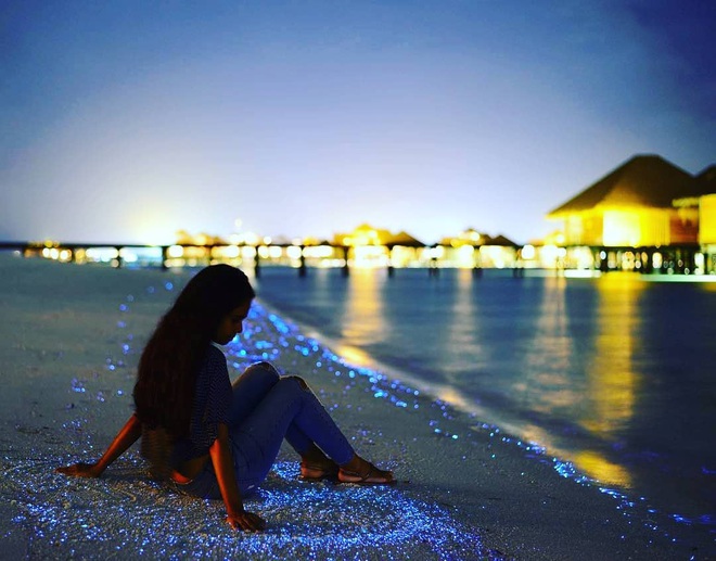 Dân mạng nửa tin nửa ngờ trước “bãi biển ngàn sao” đẹp như cổ tích ở Maldives, là có thật hay lại chiêu trò chỉnh ảnh câu like? - Ảnh 17.