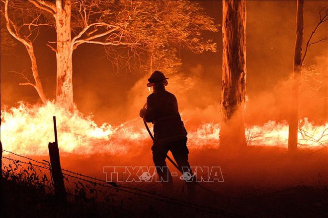 Cháy rừng ở Australia: Bang Victoria ban bố tình trạng thảm họa - Ảnh 1.