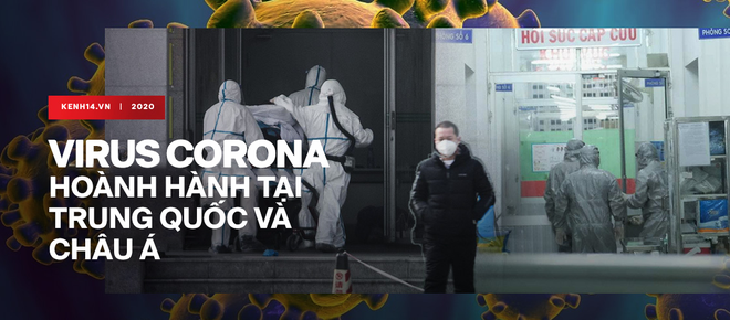  Ph&aacute;t hiện kh&aacute;ng thể c&oacute; thể v&ocirc; hiệu ho&aacute; virus Corona 2019-nCoV  - Ảnh 2.