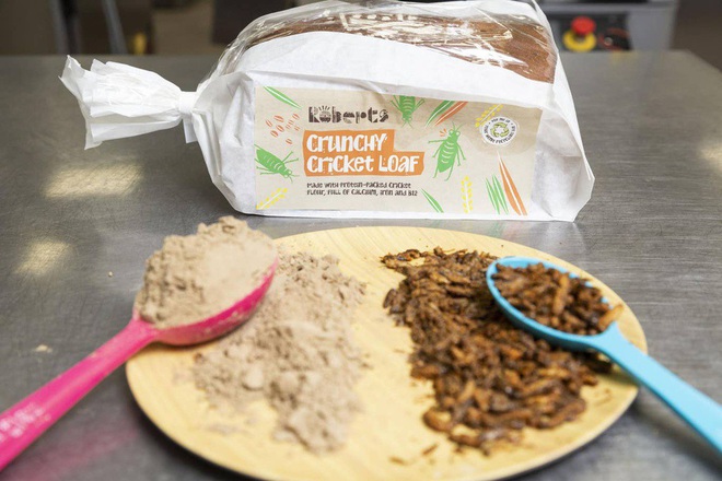 Cho&aacute;ng với b&aacute;nh m&igrave; được l&agrave;m từ hơn 366 con dế, hội sợ c&ocirc;n tr&ugrave;ng nghe t&ecirc;n đ&atilde; hồn bay ph&aacute;ch lạc - Ảnh 2.