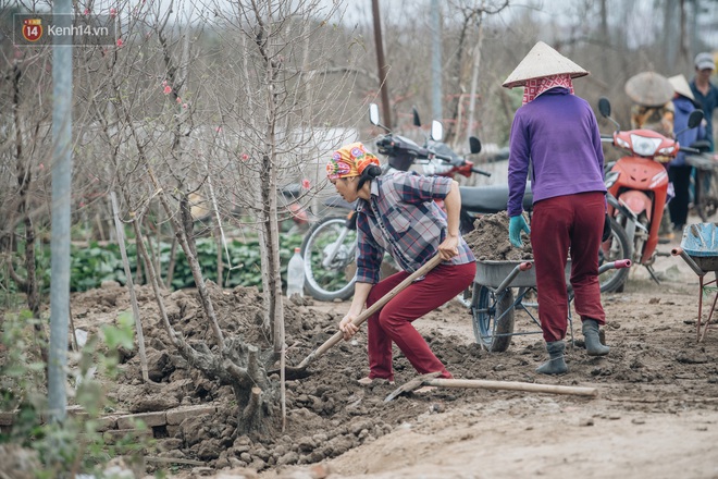 Đào Nhật Tân tấp nập xuống phố, người dân thích thú mua hưởng thức không khí Tết sớm - Ảnh 7.