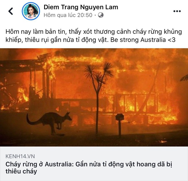 Loạt sao Vbiz lên tiếng về vụ đại thảm họa cháy rừng tại Úc: Trà My Idol, Diễm Trang đều xót thương, Tăng Thanh Hà kêu gọi sự thay đổi - Ảnh 1.
