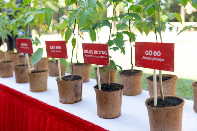 Jun Phạm cùng Quỹ Vườn Ươm Lộc Quý kêu gọi trồng cây và gieo lộc Tết xanh - Ảnh 9.