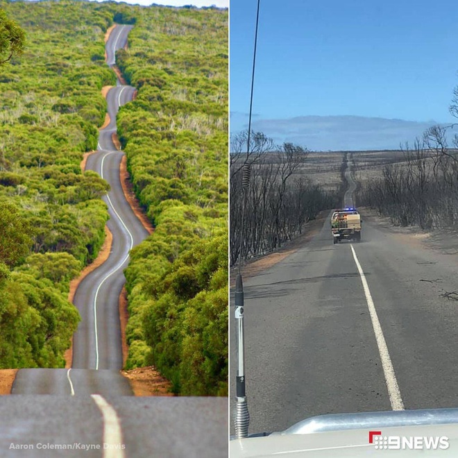 Nước Úc trước và sau thảm họa: Cánh rừng xanh mướt đầy sức sống nay chỉ còn là đống tro tàn, mái nhà của Kangaroo bị huỷ hoại - Ảnh 1.