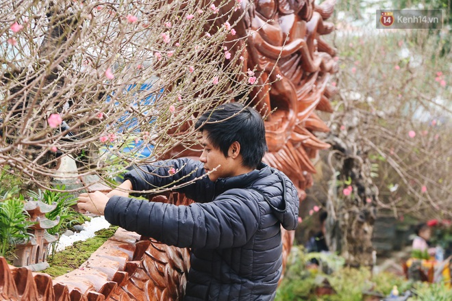 Hà Nội: Cận cảnh chậu đào khủng làm từ gỗ chò Nam Phi có giá bạc tỷ, dành riêng cho đại gia chơi Tết - Ảnh 2.