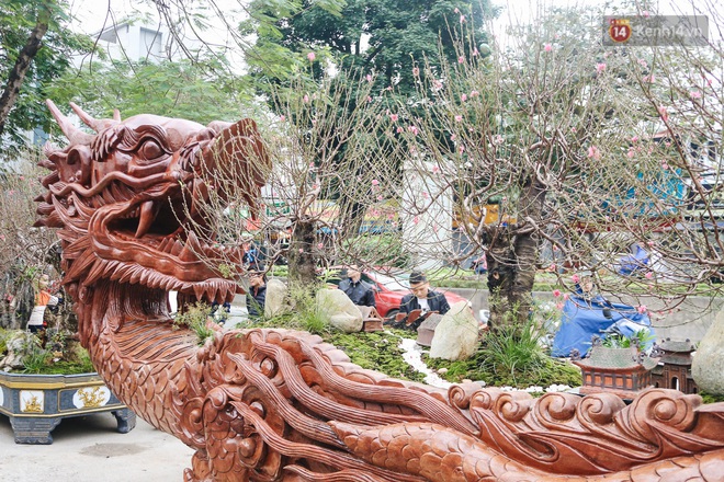 Hà Nội: Cận cảnh chậu đào khủng làm từ gỗ chò Nam Phi có giá bạc tỷ, dành riêng cho đại gia chơi Tết - Ảnh 4.