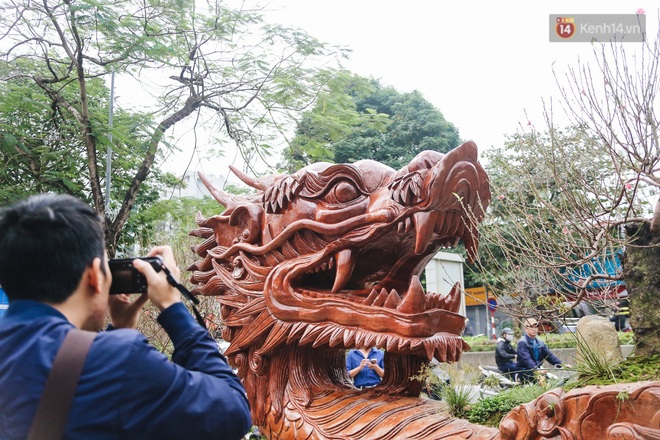 Hà Nội: Cận cảnh chậu đào khủng làm từ gỗ chò Nam Phi có giá bạc tỷ, dành riêng cho đại gia chơi Tết - Ảnh 5.