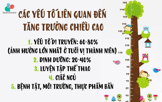 Người Việt Nam lùn thứ 4 thế giới - Ảnh 3.