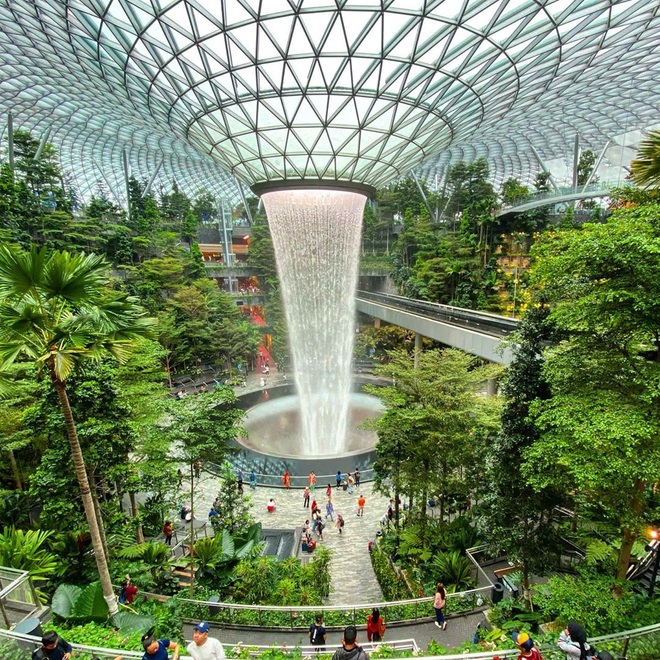 HOT: Thác nước trong nhà lớn nhất thế giới ở Singapore thông báo đóng cửa bảo trì, ai đến đây dịp này đành lỡ hẹn góc sống ảo nổi tiếng - Ảnh 3.