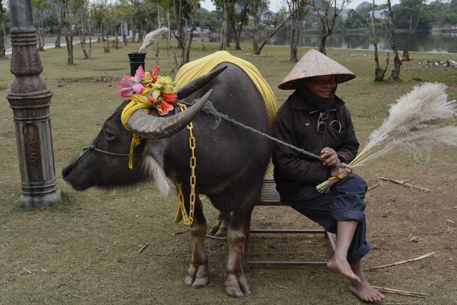 Cuộc gặp gỡ kỳ diệu của nam du khách nước ngoài cùng người đàn ông chăn trâu ở Ninh Bình sau 15 năm và câu chuyện thú vị phía sau - Ảnh 3.