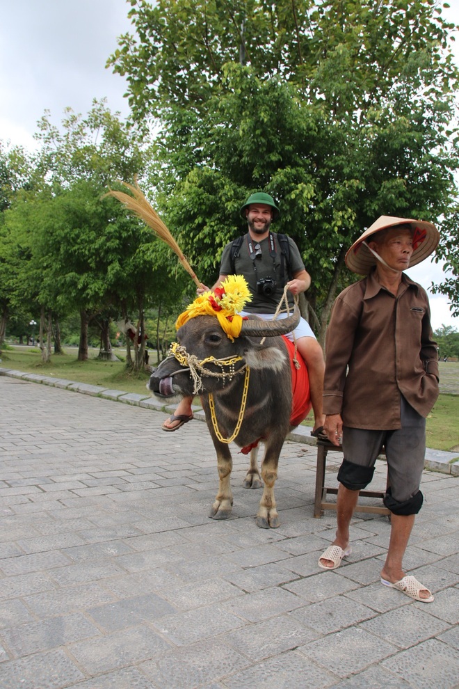  Cuộc gặp gỡ kỳ diệu của nam du khách nước ngoài cùng người đàn ông chăn trâu ở Ninh Bình sau 15 năm và câu chuyện thú vị phía sau  - Ảnh 4.