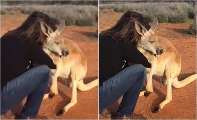 Loạt hình ảnh tràn lan trên MXH về đại thảm họa cháy rừng ở Úc: Giải cứu kangaroo, cô bé và bức tường lửa... đều không phải là thật - Ảnh 4.