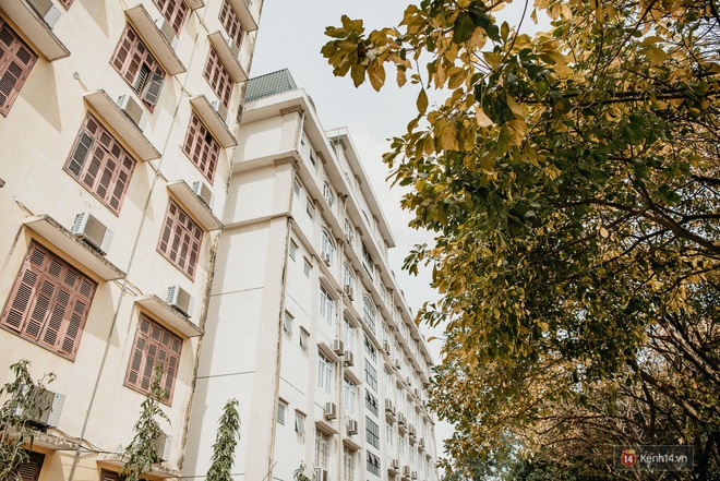 Những góc phố đậm chất Hàn Quốc ngay giữa lòng Hà Nội, lên ảnh mang vibe trong trẻo đến ngẩn ngơ - Ảnh 9. Những góc phố đậm chất Hàn Quốc ngay giữa lòng Hà Nội, lên ảnh mang vibe trong trẻo đến ngẩn ngơ - Ảnh 9.