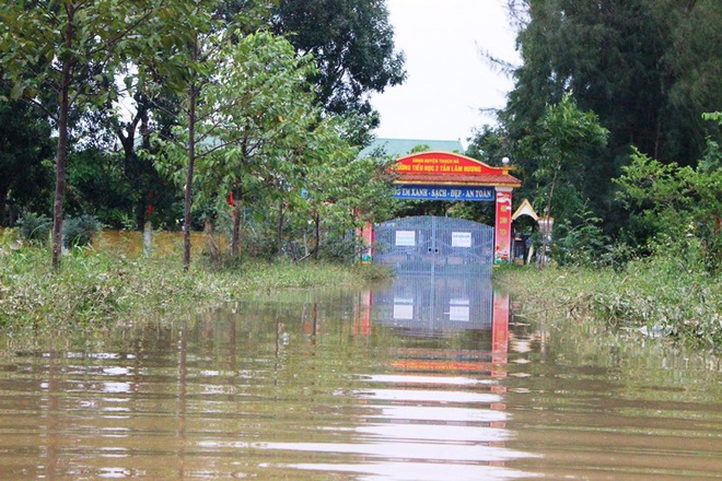 Trường học Hà Tĩnh mênh mông nước, giáo viên tranh thủ tham gia cứu trợ - Ảnh 7.
