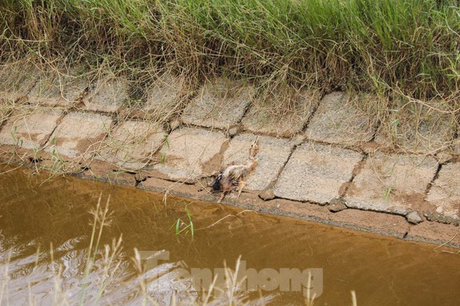 Quảng Trị: Mưa lũ đi qua, xót xa ở lại - Ảnh 19.