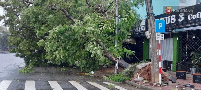 Bão số 9 sắp đổ bộ: Gió giật mạnh ở Quảng Ngãi, đã có nhà bị tốc mái; Hội An ngập sâu nhiều tuyến đường - Ảnh 5.