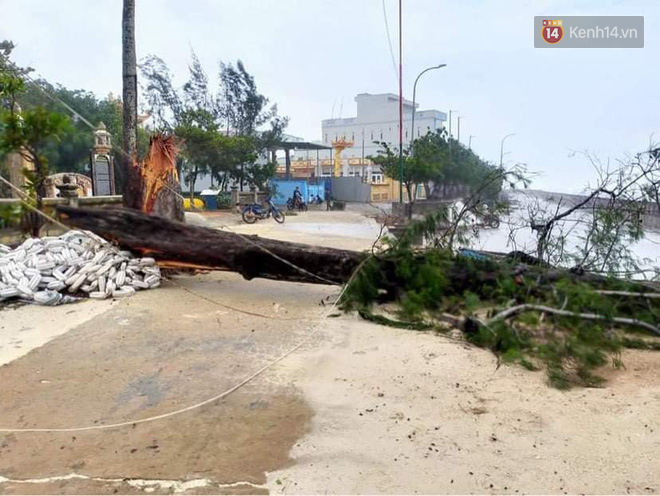 Những hình ảnh đầu tiên tại đảo Lý Sơn khi bão số 9 đi qua: Mọi thứ đều tan hoang, người dân thất thần bên đống đổ nát - Ảnh 5.