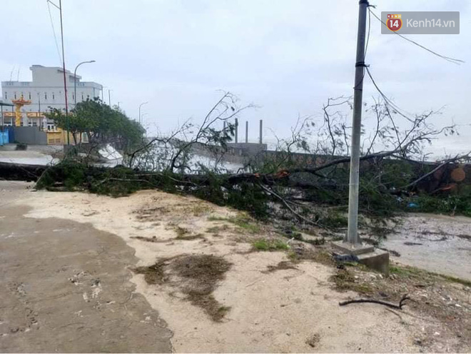 Những hình ảnh đầu tiên tại đảo Lý Sơn khi bão số 9 đi qua: Mọi thứ đều tan hoang, người dân thất thần bên đống đổ nát - Ảnh 5.