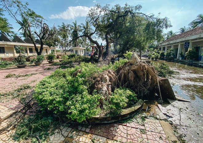 Trường học ở Bình Định tan hoang sau bão số 9, giáo viên vất vả dọn dẹp để chuẩn bị đón học sinh trở lại - Ảnh 1.