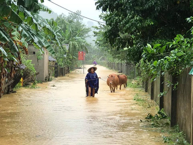 Hà Tĩnh sơ tán khẩn cả nghìn người dân khỏi vùng ngập lụt, sạt lở - Ảnh 2.