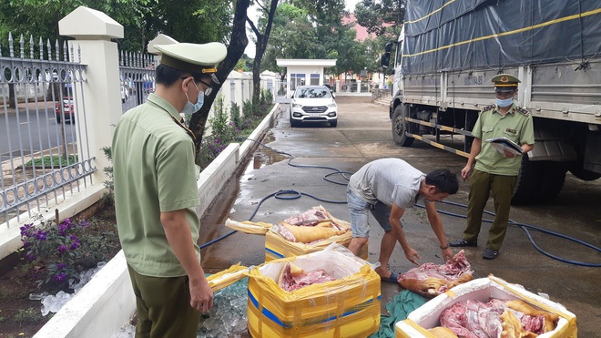 Đắk Lắk: Thu giữ 300kg thịt heo nái bốc mùi hôi thối - Ảnh 1.