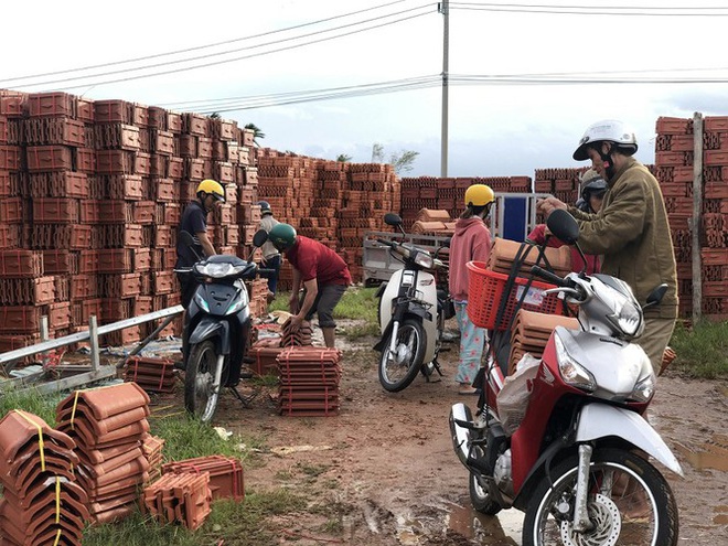Quảng Ng&atilde;i: Gi&aacute; ng&oacute;i, t&ocirc;n tăng bất thường sau b&atilde;o số 9 - Ảnh 4.