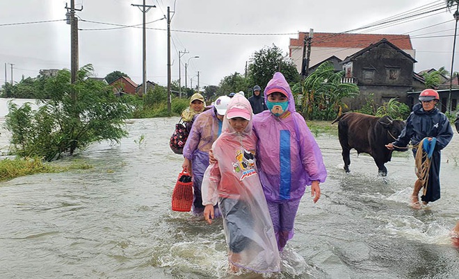 Phú Yên: Nhiều nơi nước dâng cao, ngập lụt nghiêm trọng, người dân phải chạy lũ trong đêm - Ảnh 4. Phú Yên: Nhiều nơi nước dâng cao, ngập lụt nghiêm trọng, người dân phải chạy lũ trong đêm - Ảnh 4.