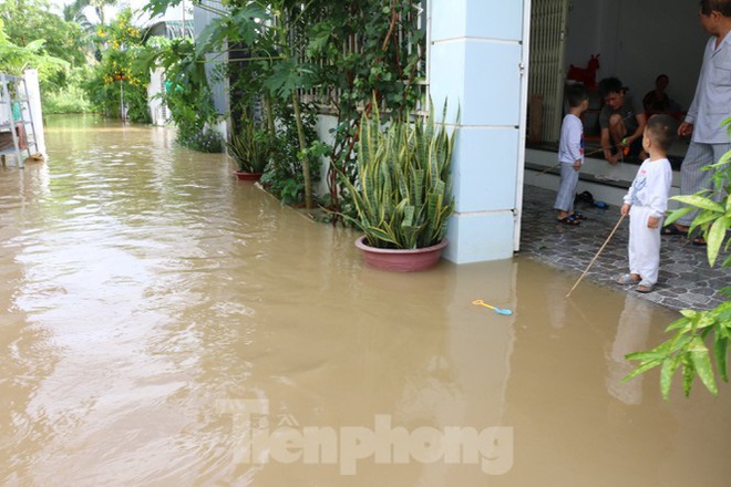 Bão tan nhưng dân phố biển Nha Trang vẫn bì bõm nơi nước ngập - Ảnh 2.