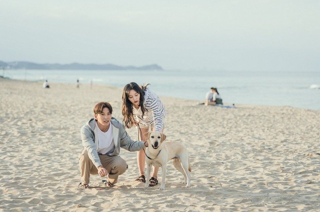 T&igrave;m ra couple nhan sắc ho&agrave;n hảo nhất Kbiz: Ji Chang Wook v&agrave; nữ thần Hậu Duệ Mặt Trời s&oacute;ng đ&ocirc;i, visual đ&ograve;i mạng hay g&igrave;? - Ảnh 4.