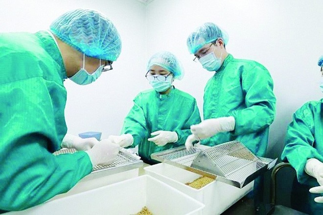 Việt Nam thử nghiệm vắc-xin Covid-19 trên người tình nguyện trong tháng 11 này - Ảnh 2.