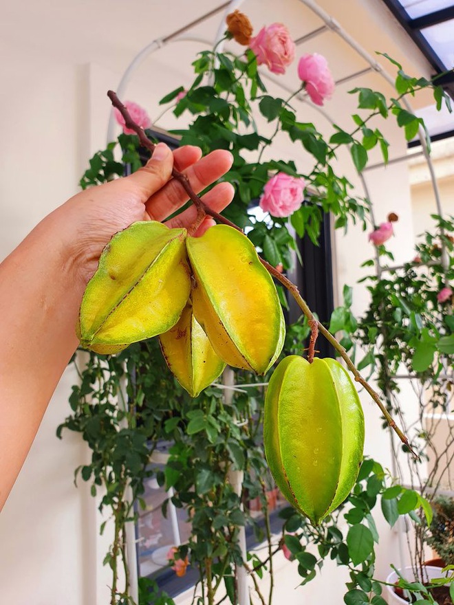 Mất 1 th&aacute;ng sửa sang, đ&ocirc;i vợ chồng trẻ c&oacute; được căn hộ 180m2 đẹp m&ecirc; ly, nhưng chi ph&iacute; kh&ocirc;ng hề rẻ lắm đ&acirc;u - Ảnh 13.